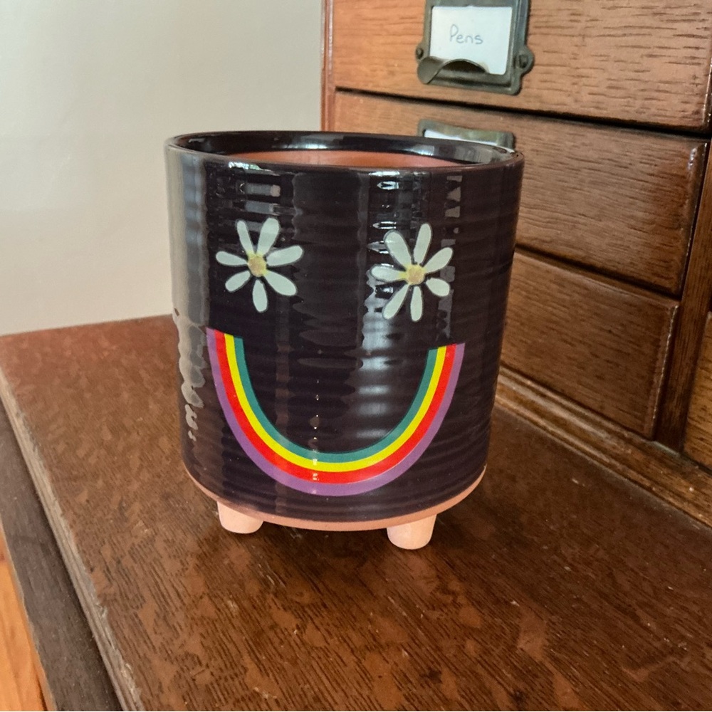 Natural Life Ceramic Rainbow Daisy Planter, pre-owned